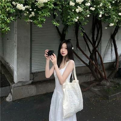 仙宠